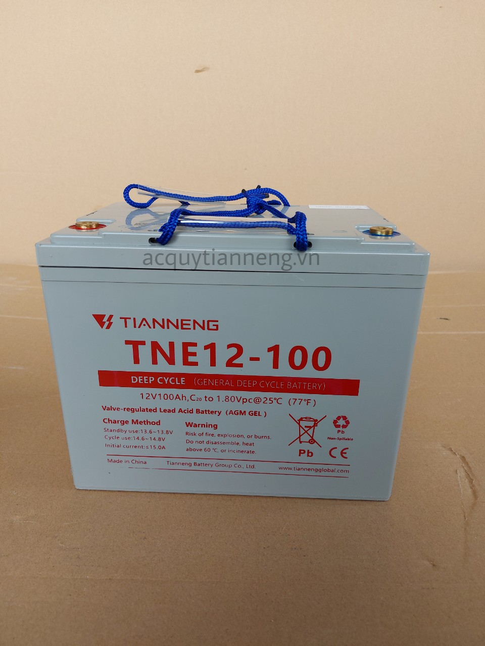 TIANNENG TNE12-100 (12V-100AH)