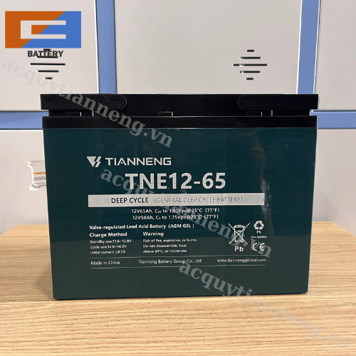 TIANNENG TNE12-65 (12V-65Ah)